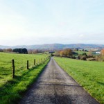 Forstweg-Wiesenlauf