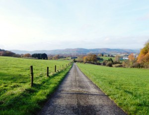 Forstweg-Wiesenlauf