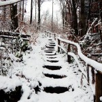 graetschlucht-laufsport