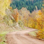 herbstlauf