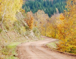 herbstlauf